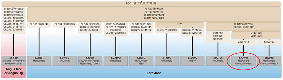 Branching within the Clan Donald DNA Project